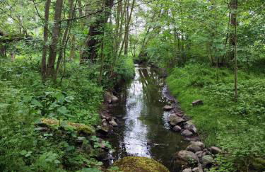 Chalets in nature Nedderhagen - Foto 14