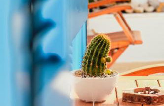 3 Venti - Ostria - Foto 38