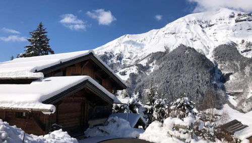 Superbe CHALET (14 personnes) & SAUNA au pied du Mont Blanc - Foto 2
