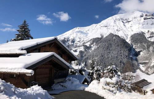 Superbe CHALET (14 personnes) & SAUNA au pied du Mont Blanc - Photo 2