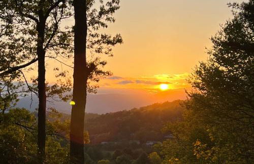 Treehouse Retreat - Foto 66