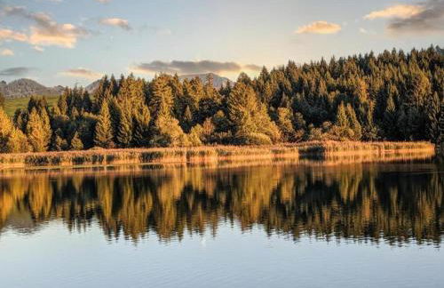 Ferienwohnung in Halblech - Photo 38