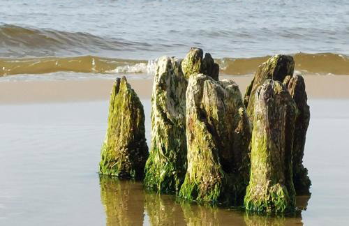 Resort Hevenia Apartament Nr 8 - Foto 19