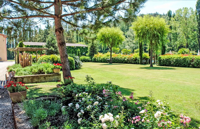 Il Cipresso - Foto 3