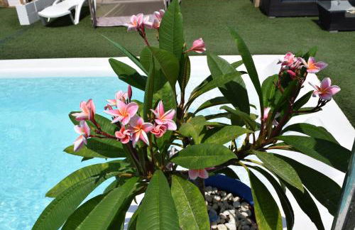 LOS TOCHOS - Foto 30