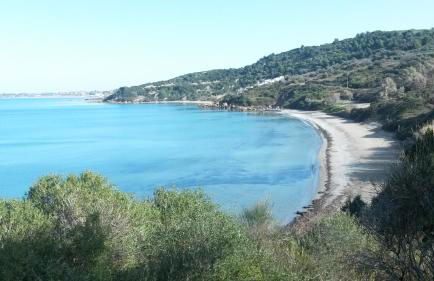 Villa Feia - Photo 34