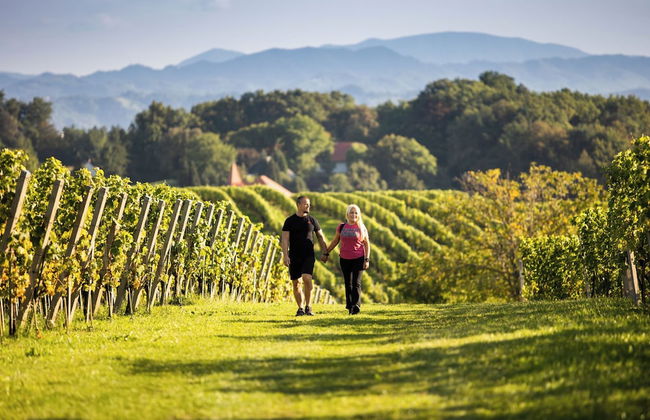 Natural Chalet Indasnja Iza - Foto 14