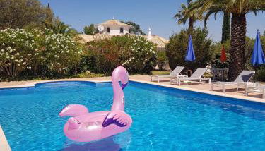 Monte-Bougainvillea - Foto 1