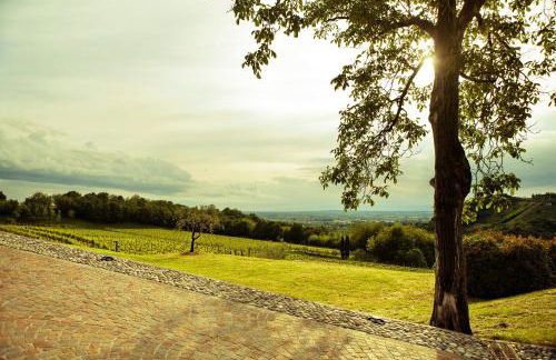 Agriturismo l'Uva e le Stelle - Foto 34