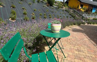 Apartamenty Lavender Hill - Foto 16