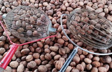 GÎTE DU BOUYSSOU - Foto 35