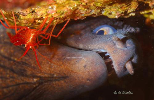 Casa Mariella - Foto 31