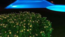 Pietra di Luna 1 - Foto 4