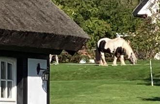 Ich kenne ein Haus am Meer - Foto 49