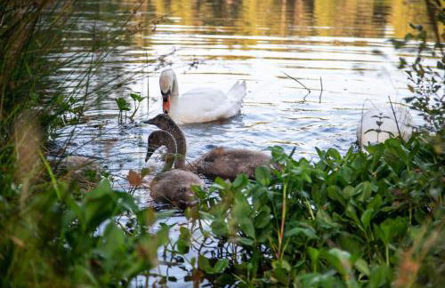 Balnagown Estates - Foto 13