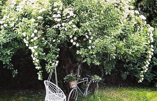 4 Star Holiday Home in Spanga - Foto 27