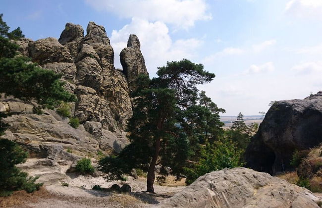 Holiday Home in Hasselfelde - Foto 15