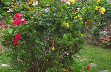 Villa Antico Borghetto Di Tigliano - Foto 43