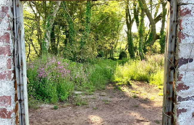 Secluded Cottage With hot tub - Foto 24