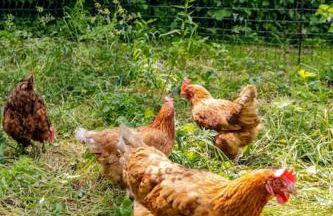 Stylish Cotswolds Retreat nestled between Bath and Castle Combe - Foto 23