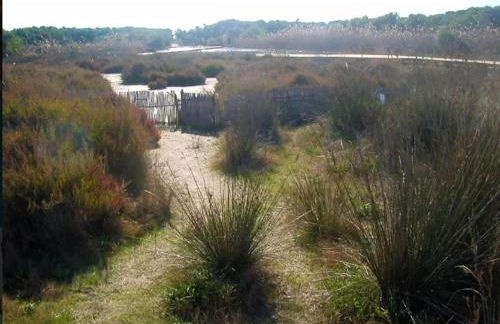 Casa Pescadores de Vallterra - Foto 31