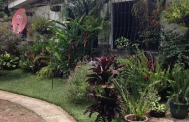 Ataco Luxury Cabin - Foto 10