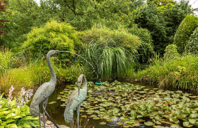 Ferienhaus Domblick Herkenrath - Photo 74