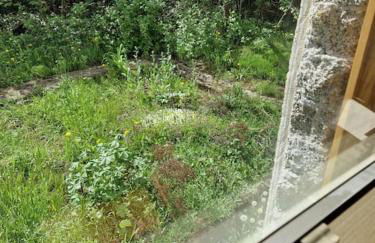 Naturnahes Wohnen in einem alten Haus mit Garten - Foto 37