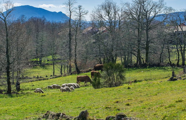 Macheta's Coutry House - Foto 27