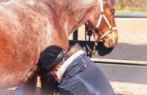 Staberhuk Baben - großer sonniger Balkon - XL Wohnung - Foto 34
