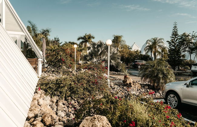 Pyramids in Florida - Foto 55