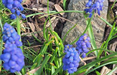 Pension Andrea - Photo 10