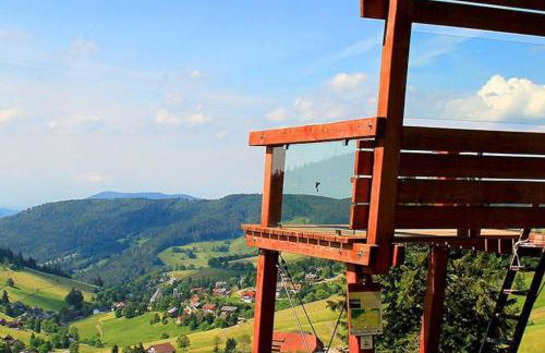 - Black4Rest Siebenschläfer Apartment Todtnauberg - - Foto 40