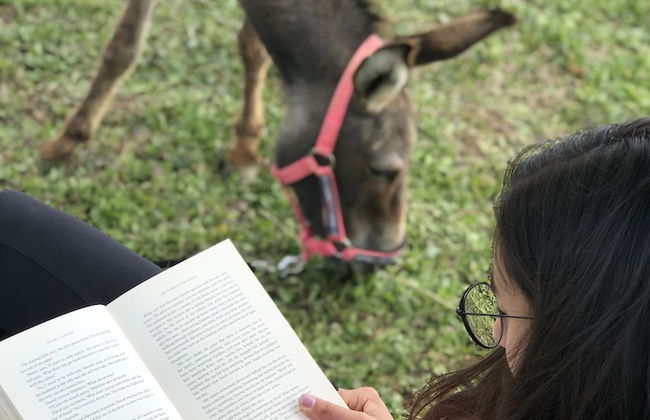 La Locanda Paradiso - Foto 27