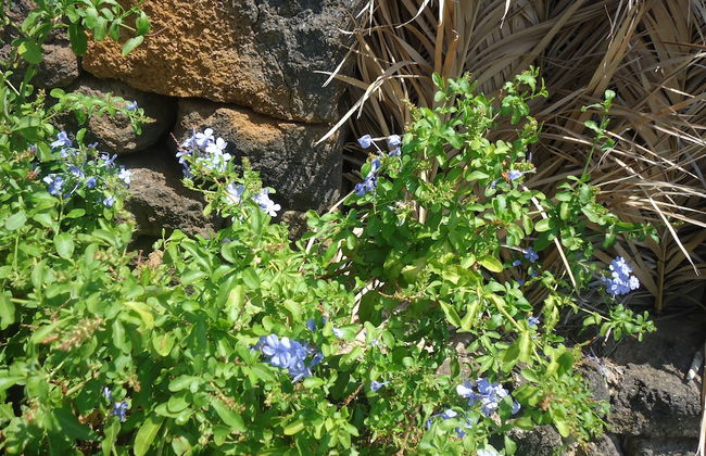 Agriturismo Zibibbodoro - Foto 62