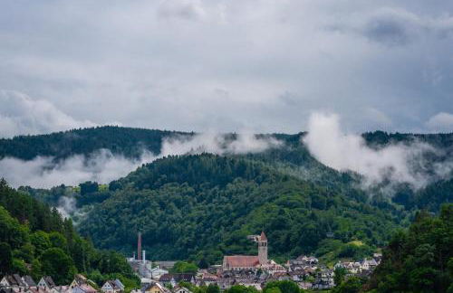 Schwarzwaldpanorama Schlossblick - Foto 22