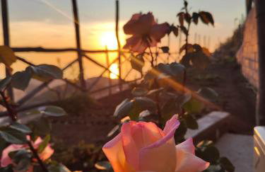 Prima Luce - Photo 26