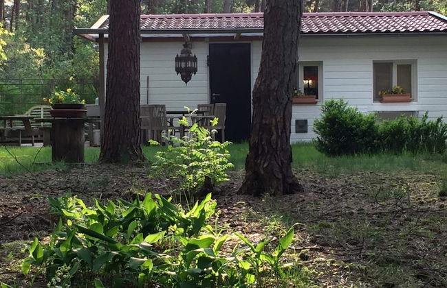 Gierle Garden Bungalow Escape - Foto 34