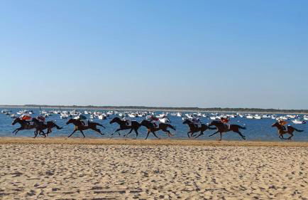 Moderno Apartamento junto a la Playa - Foto 18