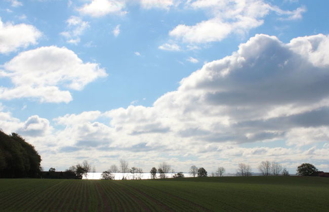 "Harre" - 300m from the sea - Foto 25