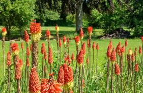 Stable Lodge - Foto 19