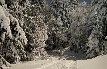 Mountain Cottage Lubomierz - Foto 54