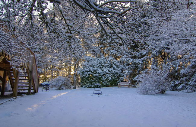 Forestside Escape Near Lake - Photo 31