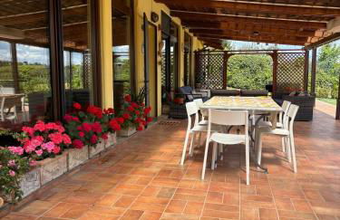 Oasi nel verde - Foto 12