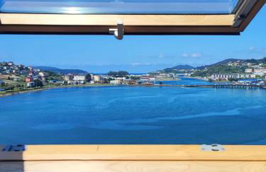 MARINA SOL VIVEIRO - Foto 41