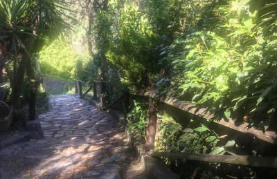 Appartamento Azalea - Foto 39