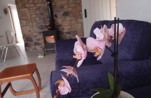 Cocklekitty Cottage - Foto 16