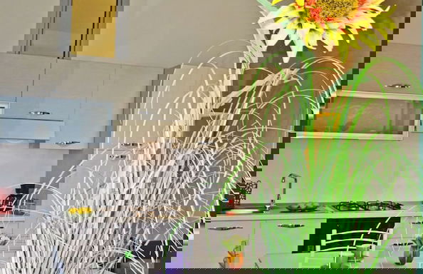 Holideal Campione Exclusive - Foto 13