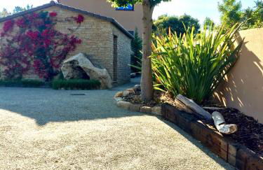 Résidence Petru-Maria - Foto 53