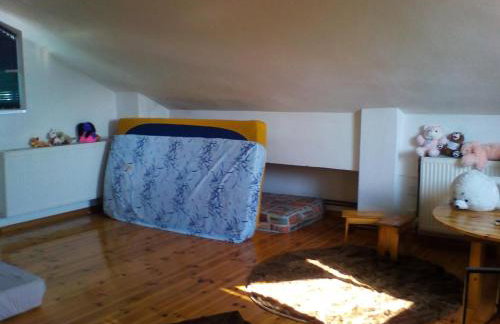 Ginî Viñis - Foto 19